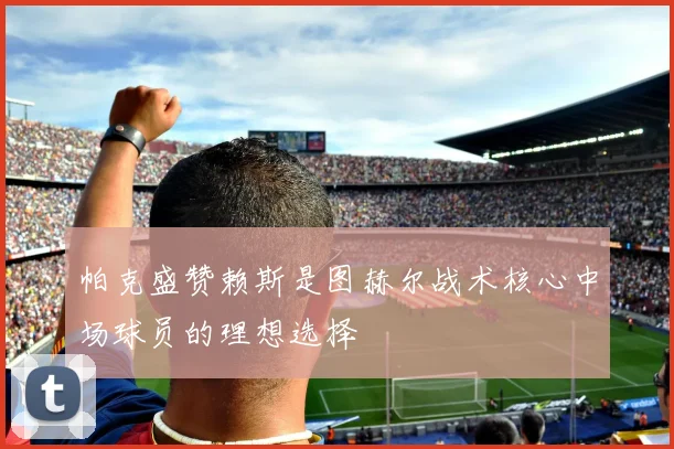 帕克盛赞赖斯是图赫尔战术核心中场球员的理想选择